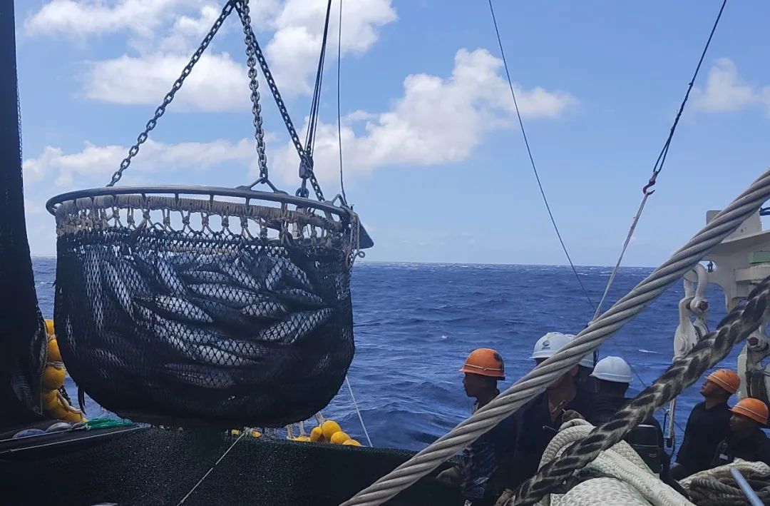 1683163726124895.jpg 1683163726124895.jpg