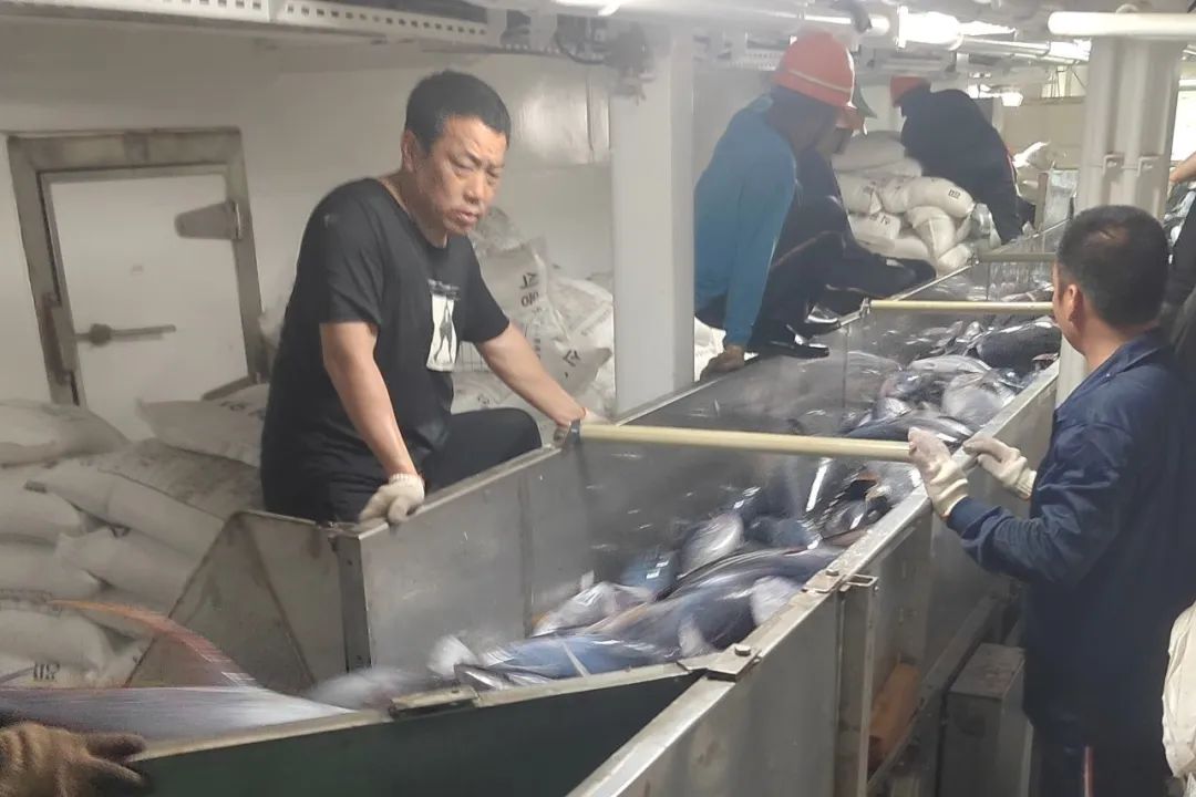 1683163749936672.jpg 1683163749936672.jpg